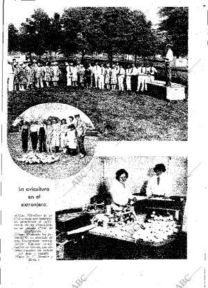 ABC MADRID 24-01-1931 página 17