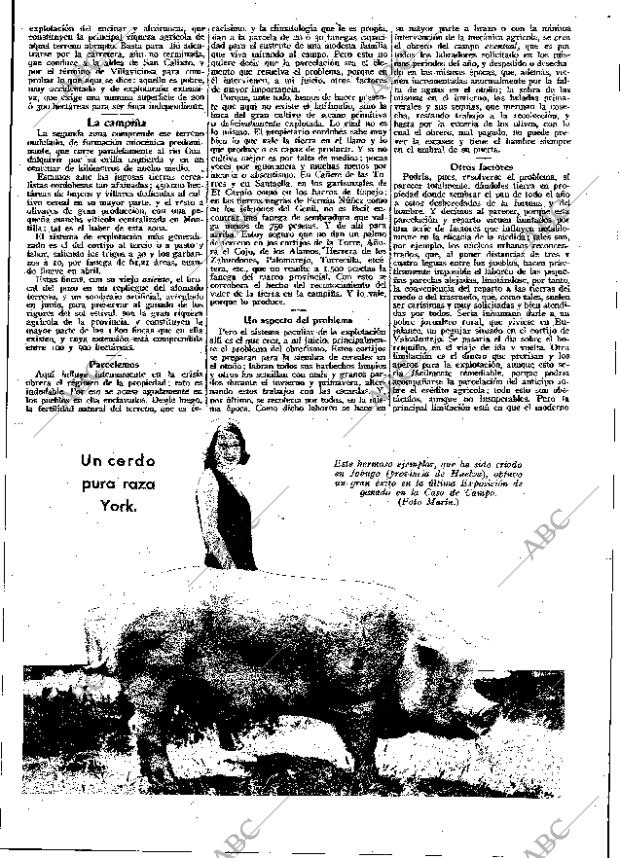 ABC MADRID 24-01-1931 página 19