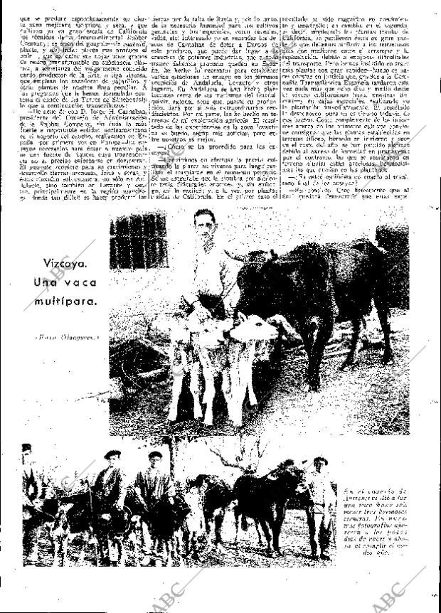 ABC MADRID 31-01-1931 página 19