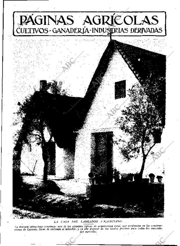 ABC MADRID 14-02-1931 página 17