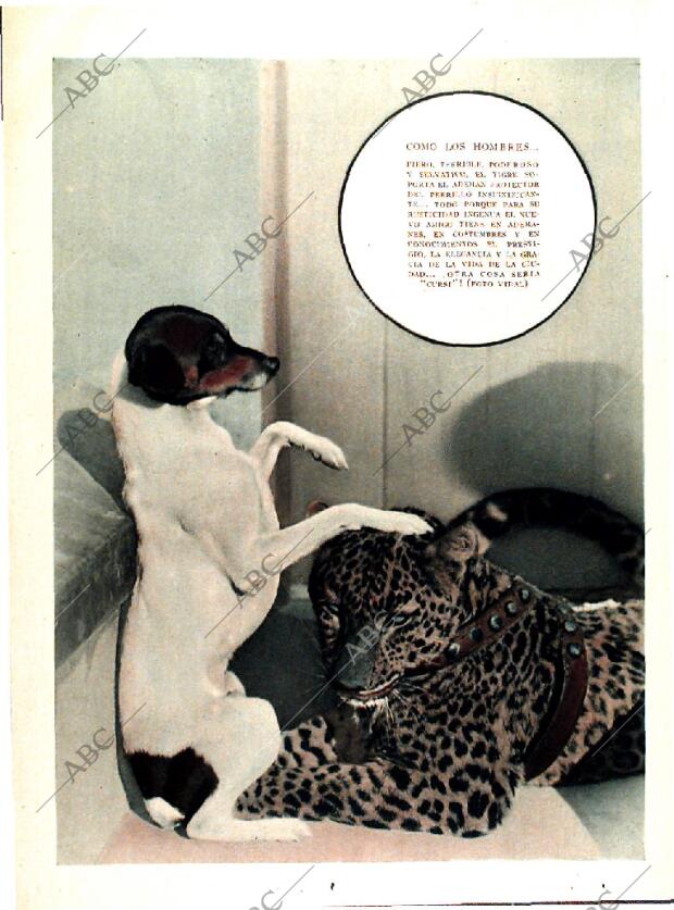 ABC MADRID 15-02-1931 página 16
