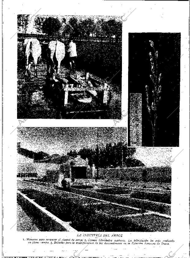 ABC MADRID 07-03-1931 página 20