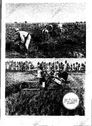 ABC MADRID 07-03-1931 página 21