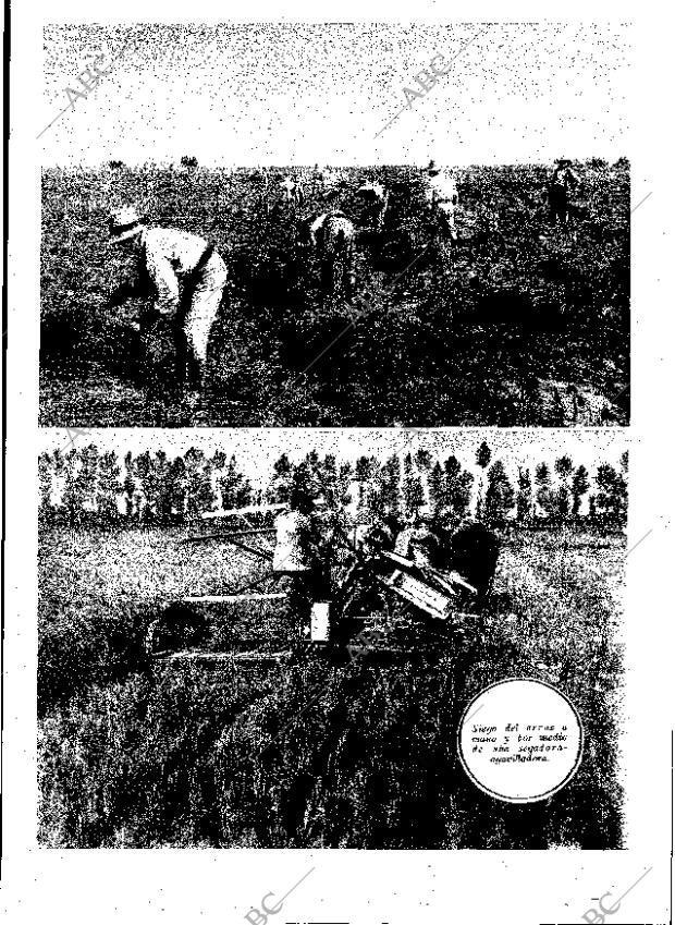 ABC MADRID 07-03-1931 página 21