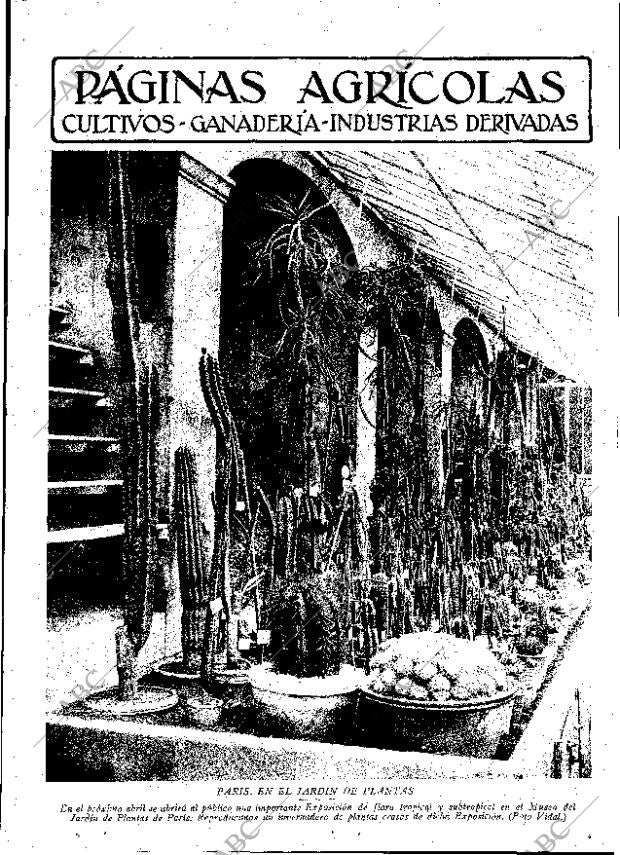 ABC MADRID 14-03-1931 página 17
