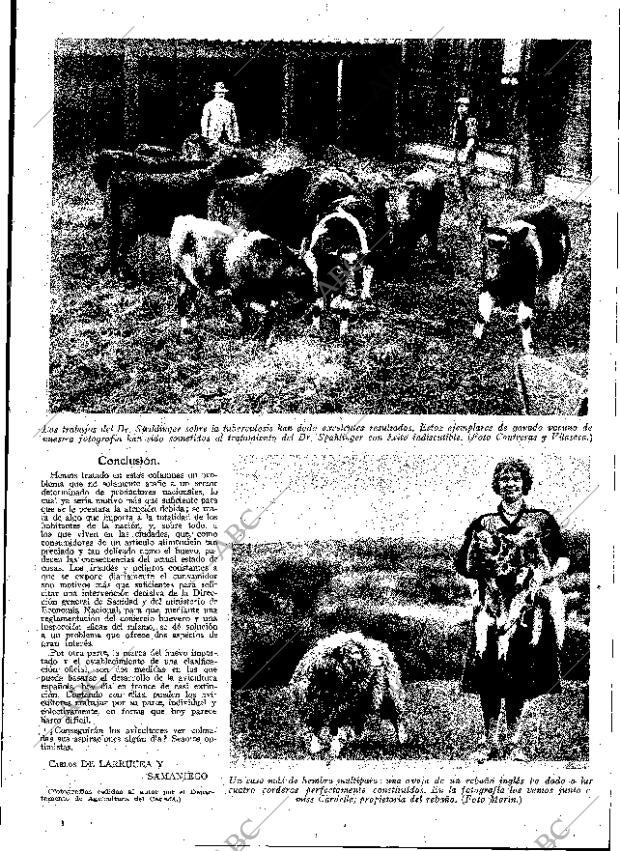 ABC MADRID 14-03-1931 página 21