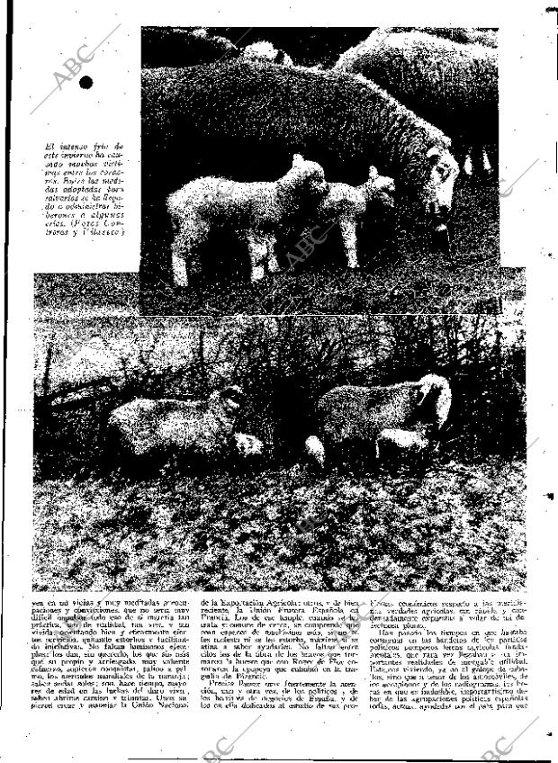 ABC MADRID 21-03-1931 página 21