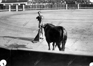 Nicanor Villalta se dispone para la suerte final durante la corrida de la...