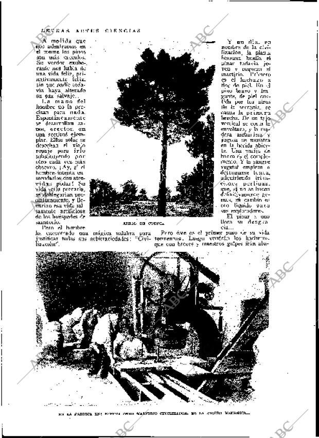 BLANCO Y NEGRO MADRID 03-05-1931 página 28