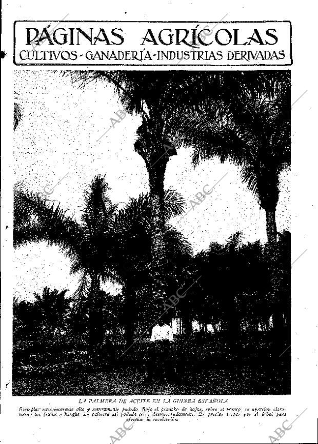 ABC MADRID 09-05-1931 página 17
