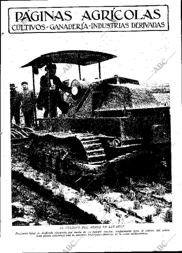 ABC MADRID 13-06-1931 página 17