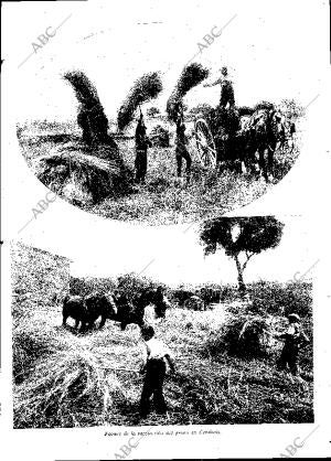 ABC MADRID 13-06-1931 página 19