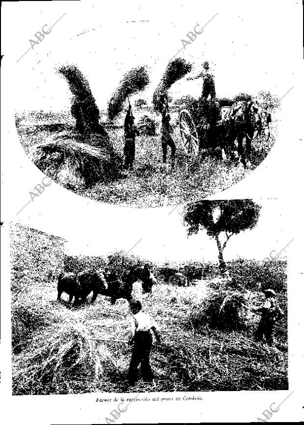 ABC MADRID 13-06-1931 página 19