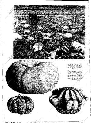 ABC MADRID 13-06-1931 página 20