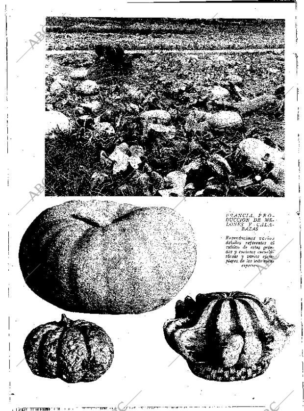 ABC MADRID 13-06-1931 página 20