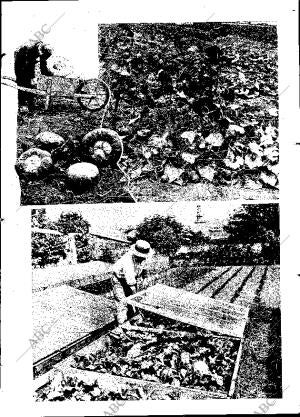 ABC MADRID 13-06-1931 página 21