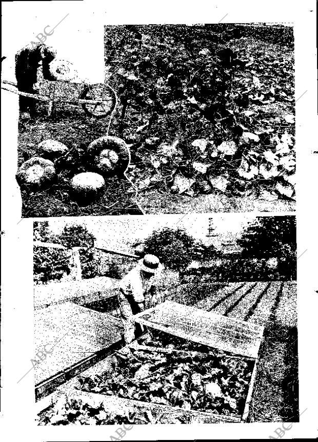 ABC MADRID 13-06-1931 página 21