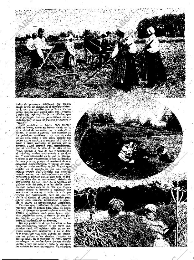 ABC SEVILLA 30-06-1931 página 21