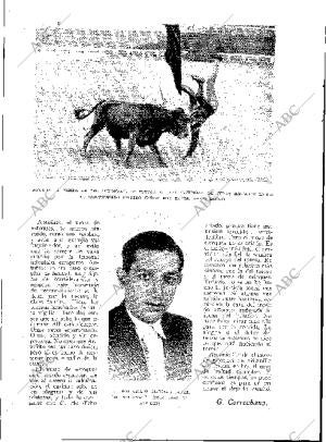 BLANCO Y NEGRO MADRID 16-08-1931 página 34