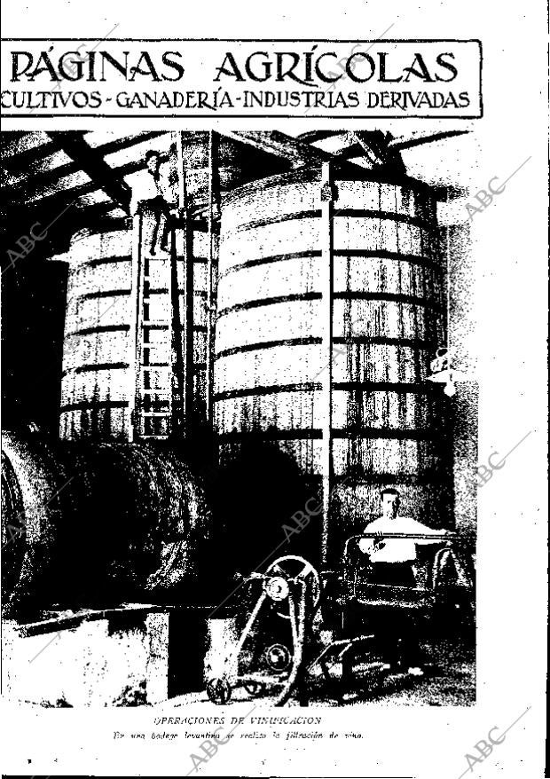 ABC MADRID 19-09-1931 página 11