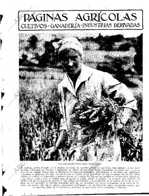 ABC MADRID 17-10-1931 página 11