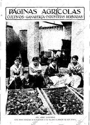 ABC MADRID 24-10-1931 página 11