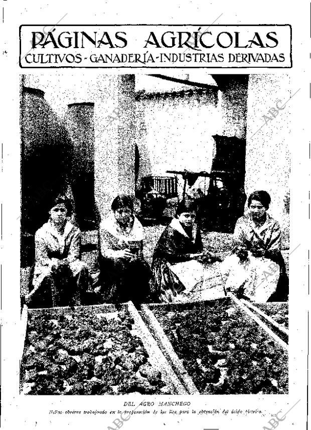 ABC MADRID 24-10-1931 página 11
