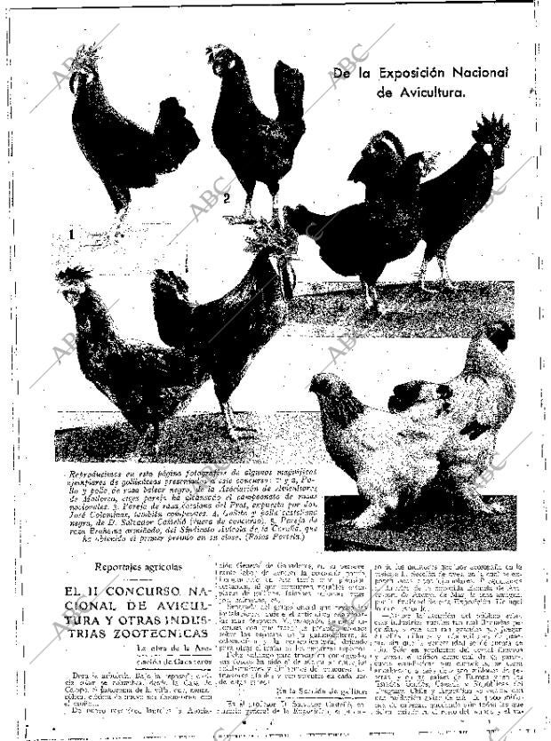 ABC MADRID 24-10-1931 página 14