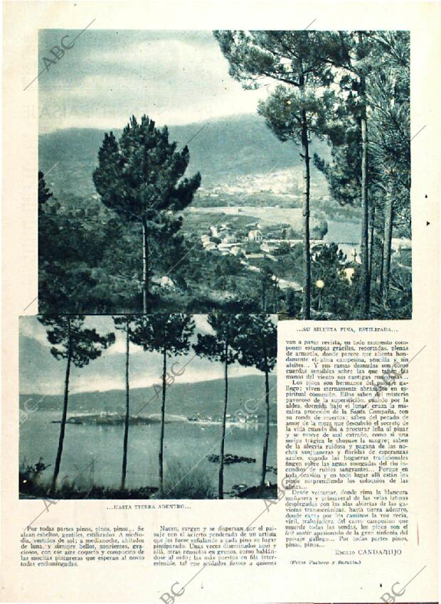 ABC MADRID 25-10-1931 página 4