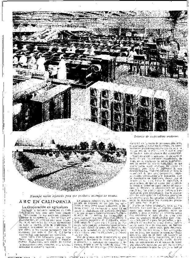 ABC MADRID 31-10-1931 página 12
