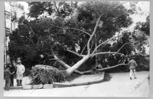 Se ha desatado un temporal de vientos huracanados y lluvias en España