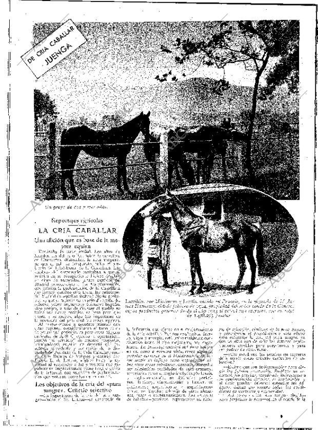 ABC MADRID 04-12-1931 página 12