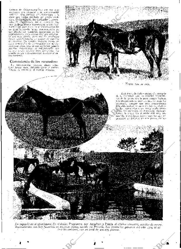 ABC MADRID 04-12-1931 página 13