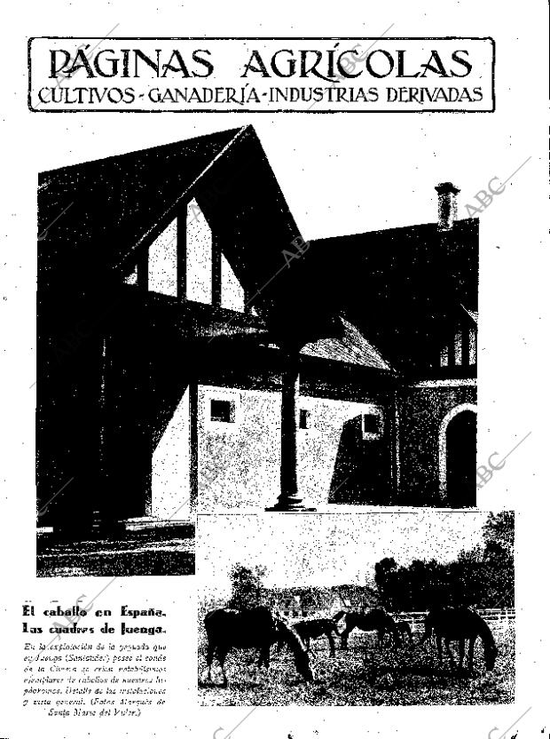 ABC SEVILLA 05-12-1931 página 11