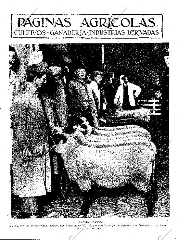 ABC SEVILLA 19-12-1931 página 11