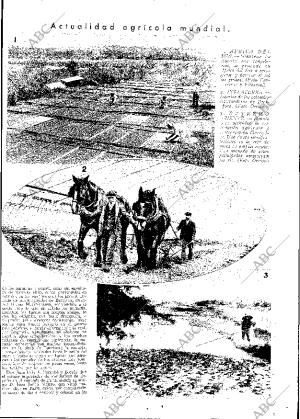 ABC MADRID 15-01-1932 página 13