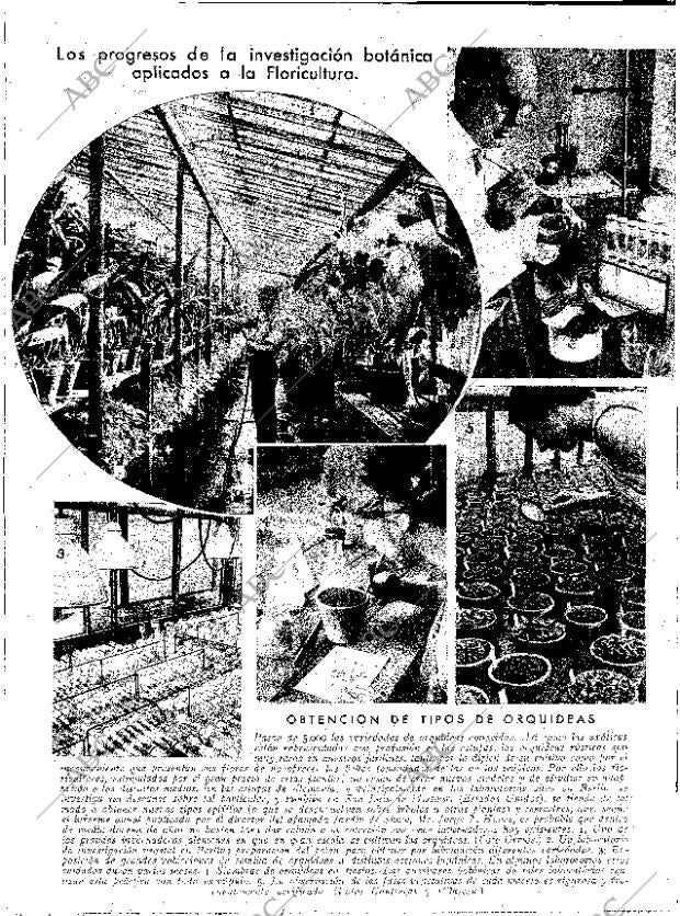 ABC SEVILLA 23-01-1932 página 12