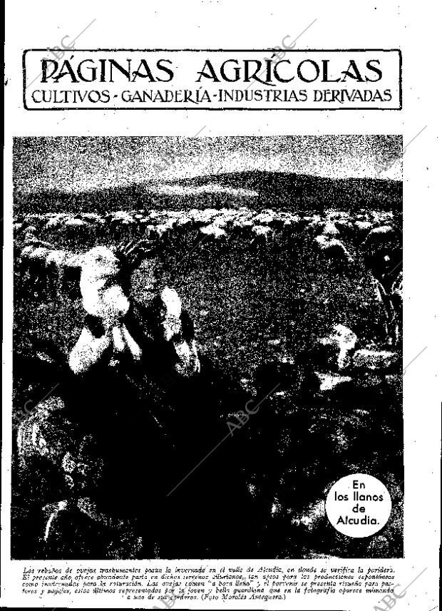 ABC MADRID 12-02-1932 página 11