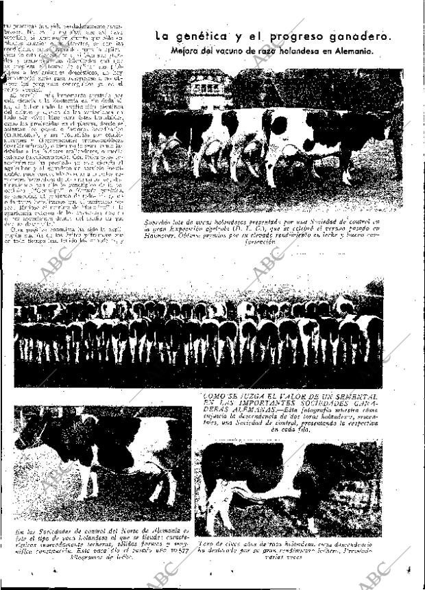 ABC MADRID 12-02-1932 página 13