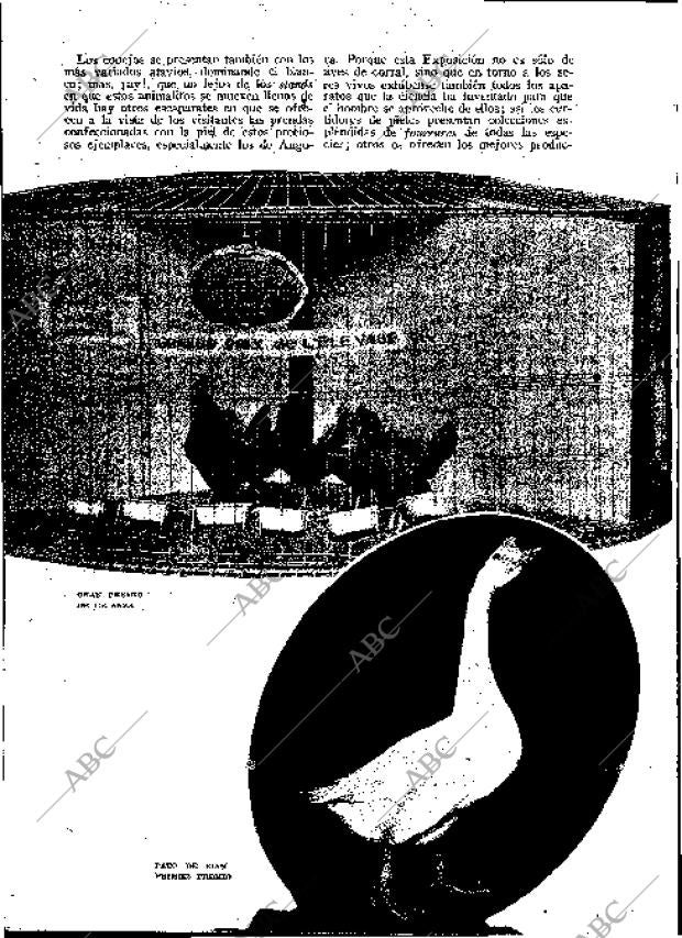 BLANCO Y NEGRO MADRID 28-02-1932 página 180