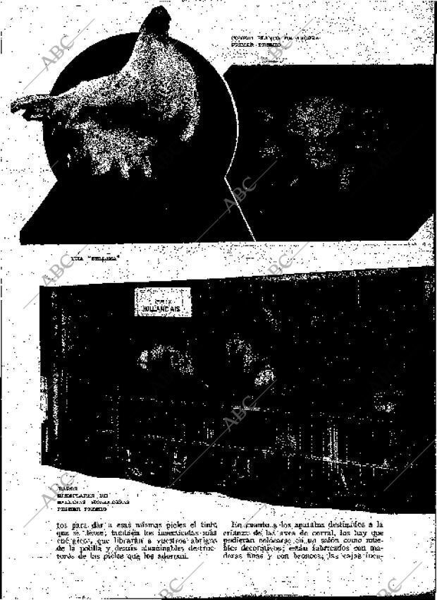 BLANCO Y NEGRO MADRID 28-02-1932 página 181