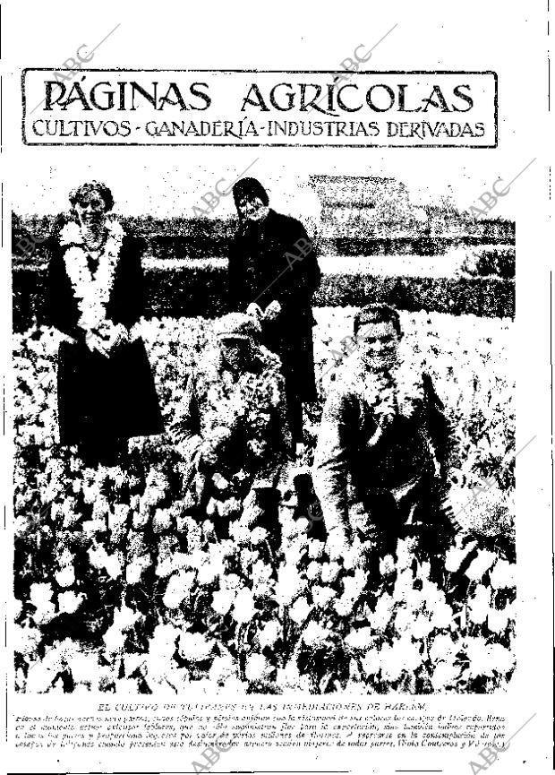 ABC MADRID 22-04-1932 página 11