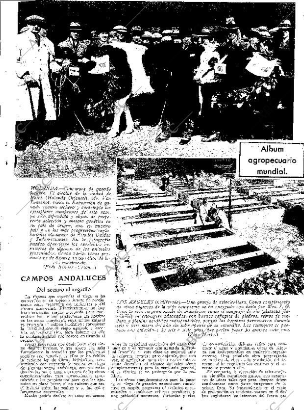 ABC SEVILLA 14-05-1932 página 13