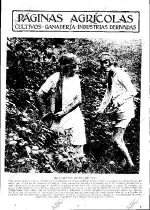 ABC MADRID 03-06-1932 página 11