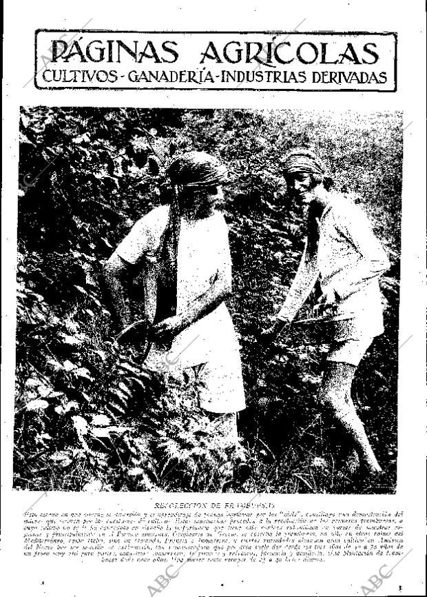 ABC MADRID 03-06-1932 página 11