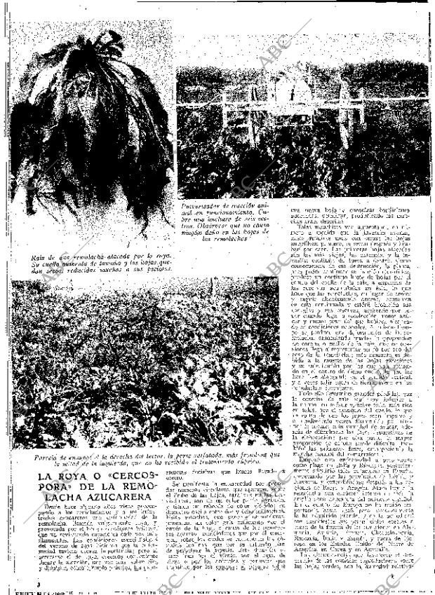 ABC MADRID 03-06-1932 página 12