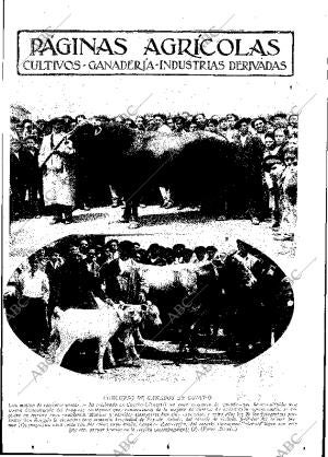 ABC MADRID 17-06-1932 página 11