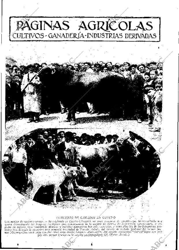 ABC MADRID 17-06-1932 página 11