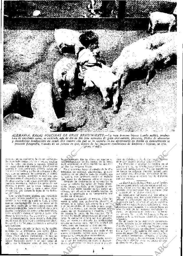 ABC MADRID 17-06-1932 página 13
