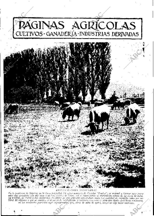 ABC MADRID 24-06-1932 página 11